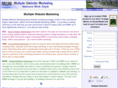 multiplewebsitemarketing.com