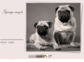 pug.lv