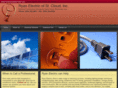 saintcloudelectrician.com