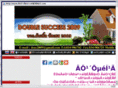 dsuc2009.com