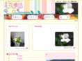 hana-selapi.com