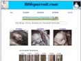 littleparrott.com
