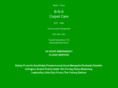 bnscarpetcare.com