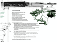 fenomenal.org