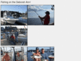 dafishing.com