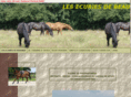 ecuriesdebeauvais.com