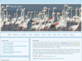 pulicatlake.org