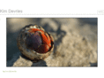 crearedesigns.com