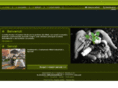 deltadesmo.com