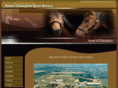 noblechampionsporthorses.com