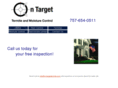 ontargettermite.com