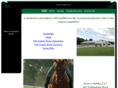 sawyerstables.com