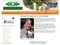 calcarachiro.com