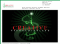 creativevisualdisplays.net