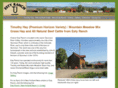 estyranch.com