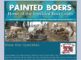 paintedboers.com