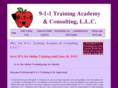 9-1-1consultants.com