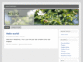 intesyo.com