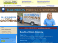 blueribbongroomer.com