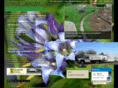 myslcinc.com