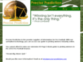 precise-prediction.com