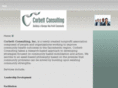 corbettconsulting.org