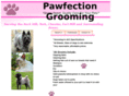 pawfectiongrooming.com