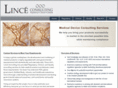 linceconsulting.com