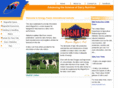 magnafat.com