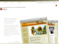 paynterdesign.com