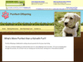 purrfectoffspring.com