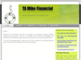 tamikefinancial.com