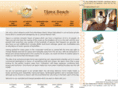 tijarabeach.com