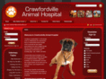 crawfordvilleanimalhospital.com