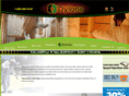 dylona.com