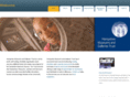 hantsmustrust.org.uk