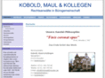 kobold-und-kollegen.de