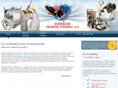 superiordryiceblasting.com