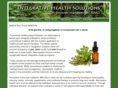 bronnerhandwerger.com