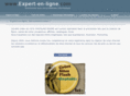 expert-en-ligne.com