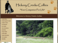 hickorycreekscollies.com