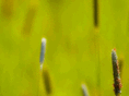 outer-focus.com