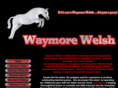 waymorewelsh.com