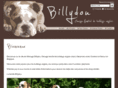 billydou.com