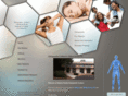 hollandchiropractors.com
