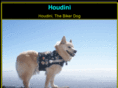 houdini.me