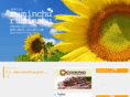ruminchu.net