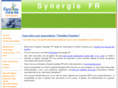 synergie-fr.net