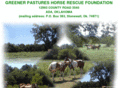 greenerpastureshorserescue.com