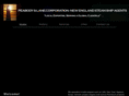 pealanecorp.com